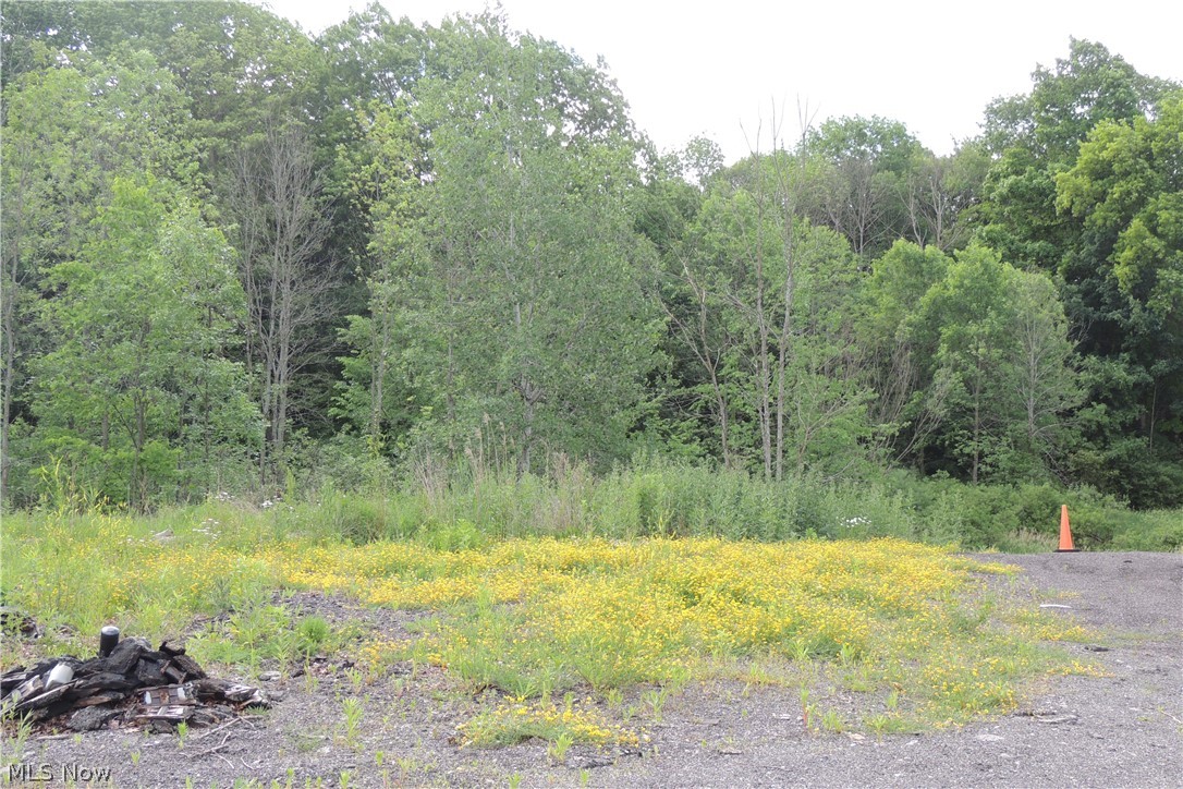 11550 Chamberlain Road Mantua, OH 44255 - Photo 24 of 24 Back section of the property into the wooded area and meadow.