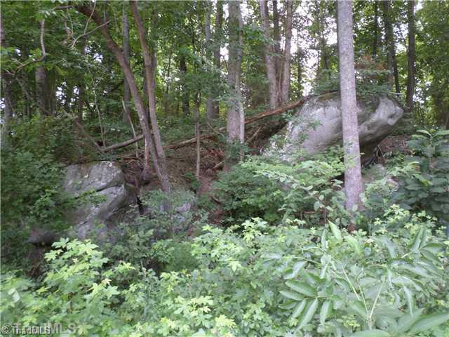 1285 Frye Bridge Road Clemmons, NC 27012 - Photo 15 of 16 Land. Interesting rock formations give that rustic mountain feel to go along with the mostly wooded property great for the nature lover.