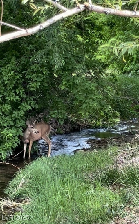13300 Willard Creek Ranch Road Ely, NV 89301 - Photo 13 of 17