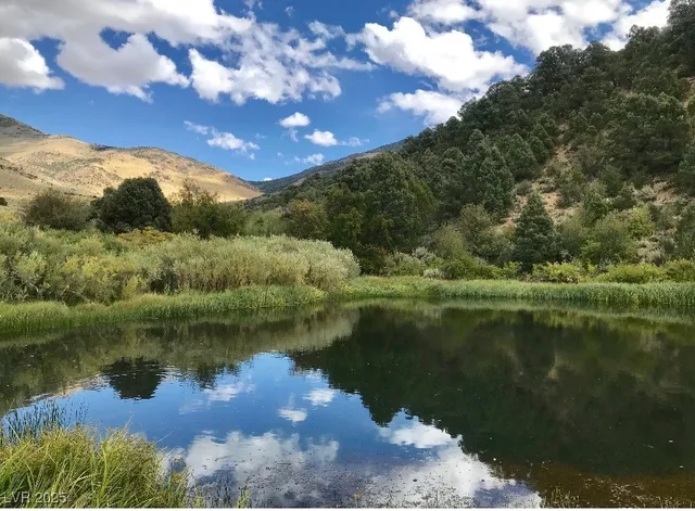 $1,825,000 | 13300 Willard Creek Ranch Road, Ely, NV 89301