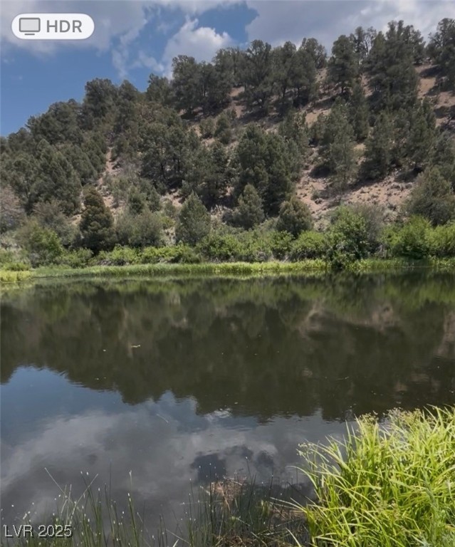 13300 Willard Creek Ranch Road Ely, NV 89301 - Photo 3 of 17