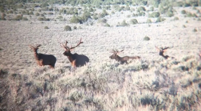 $1,825,000 | 13300 Willard Creek Ranch Road, Ely, NV 89301