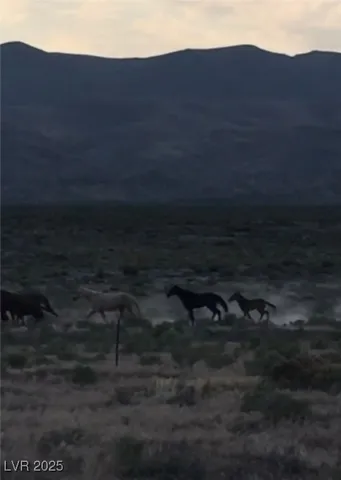 $1,825,000 | 13300 Willard Creek Ranch Road, Ely, NV 89301