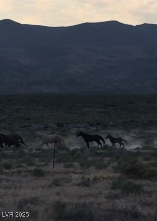 13300 Willard Creek Ranch Road Ely, NV 89301 - Photo 5 of 17