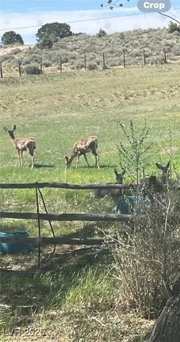 $1,825,000 | 13300 Willard Creek Ranch Road, Ely, NV 89301