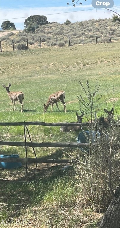 13300 Willard Creek Ranch Road Ely, NV 89301 - Photo 10 of 17