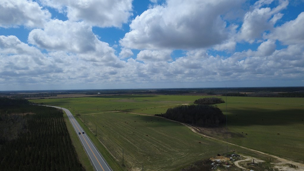 40 Davis Peacock Road Wewahitchka, FL 32449 - Photo 15 of 22
