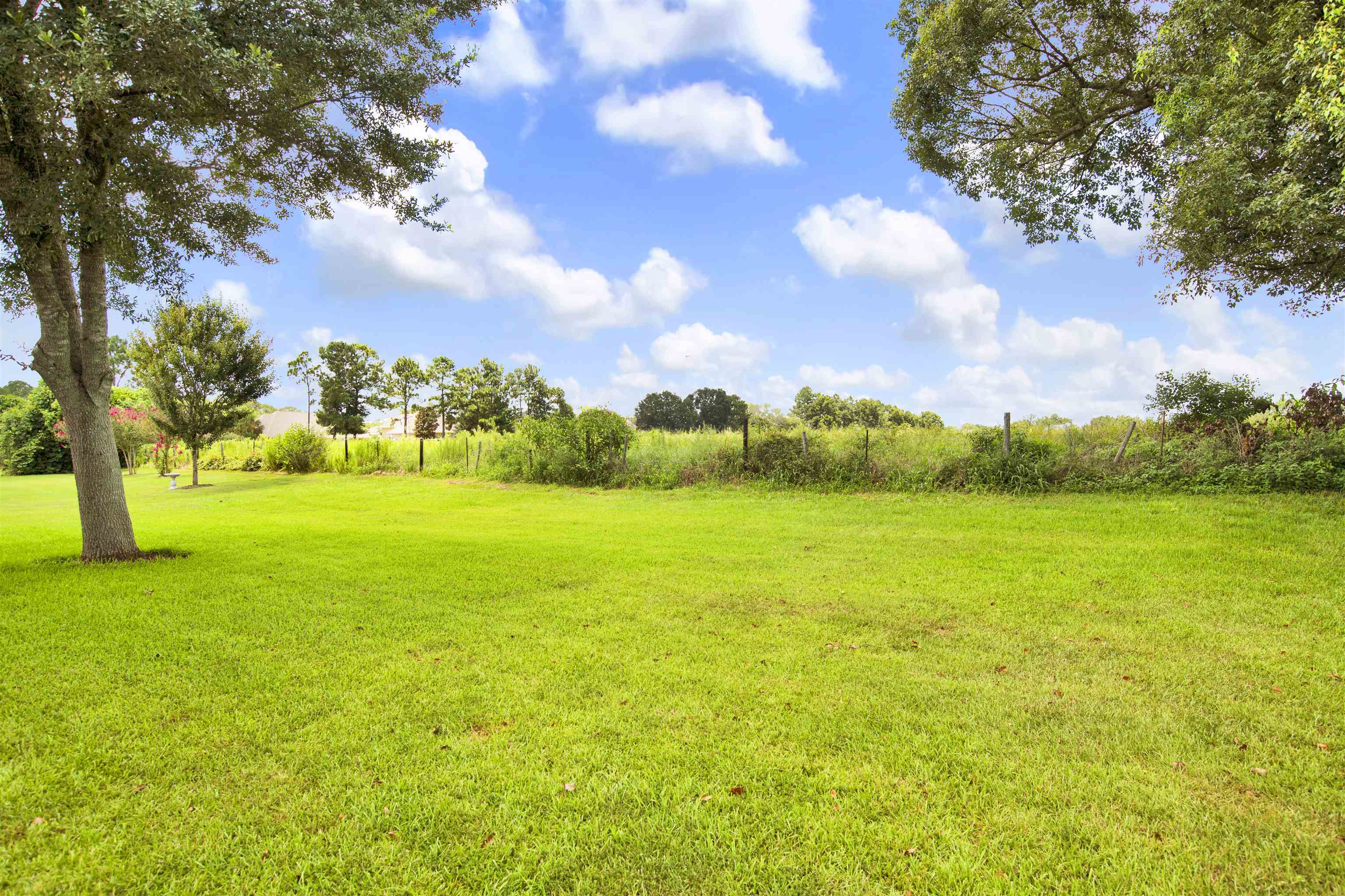 11561 Plateau Street Daphne, AL 36526 - Photo 25 of 29 Yard