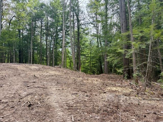 0 Route 114 North Sutton, NH 03260 - Photo 5 of 13
