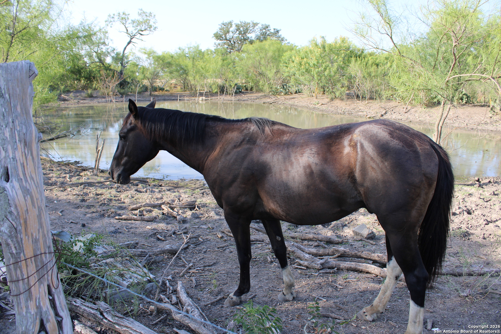 760-1 North Graytown Road St. Hedwig, TX 78152 - Photo 7 of 18
