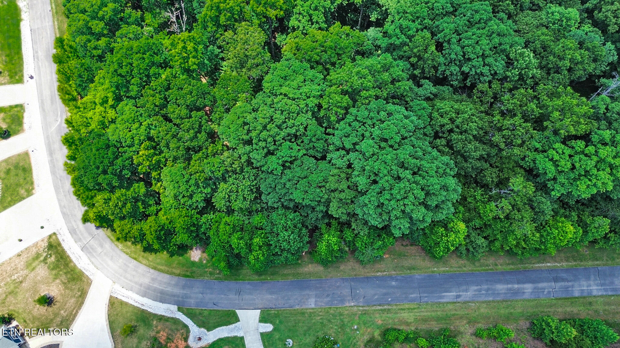 Lot 216 Reuben Ridge Road Rockwood, TN 37854 - Photo 2 of 15 dji_0523-dji_0525