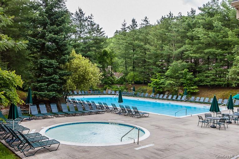 227 Boulder Ridge Road Scarsdale, NY 10583 - Photo 30 of 37 Community pool