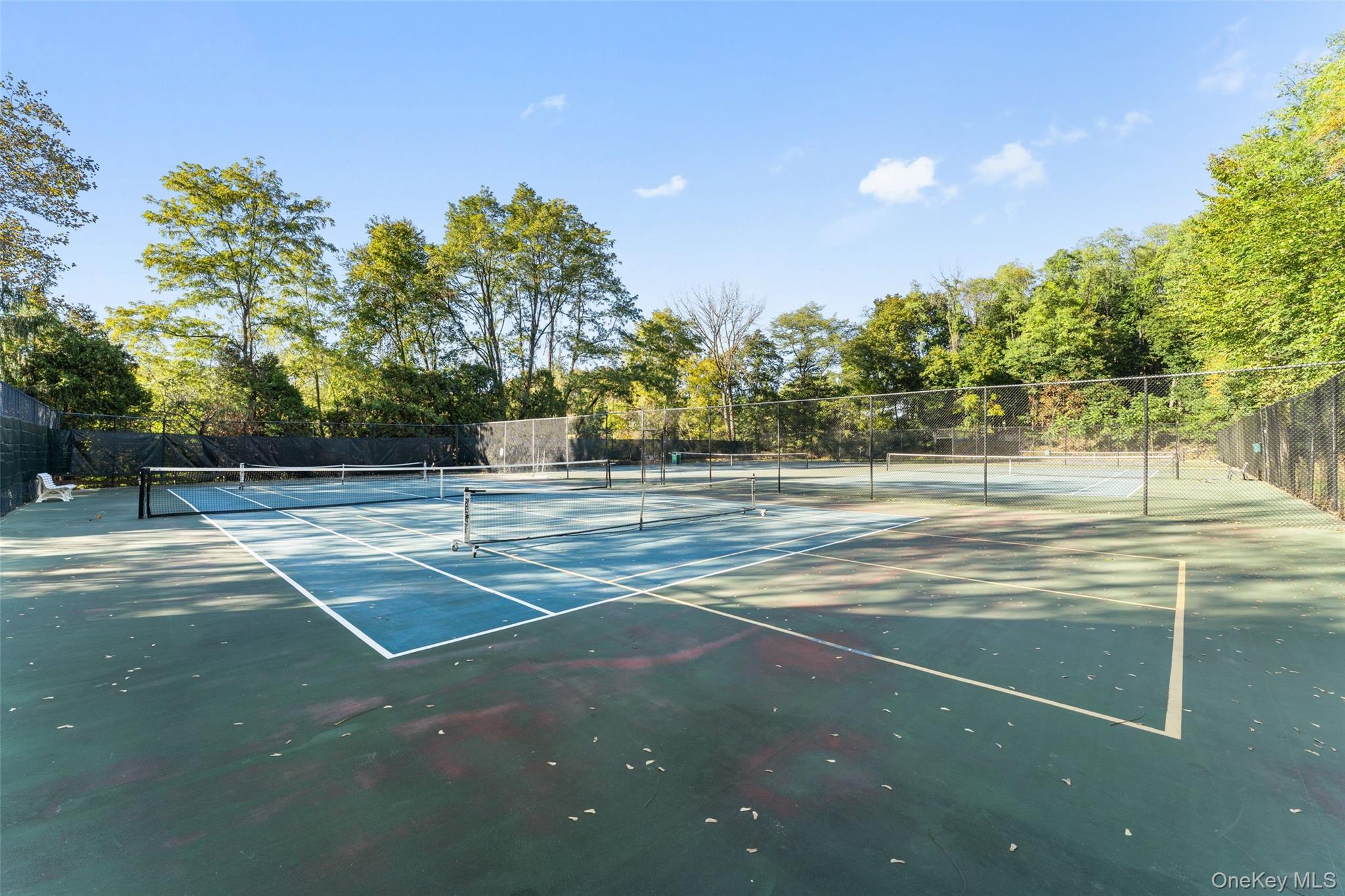 227 Boulder Ridge Road Scarsdale, NY 10583 - Photo 31 of 37 Community tennis/pickleball courts