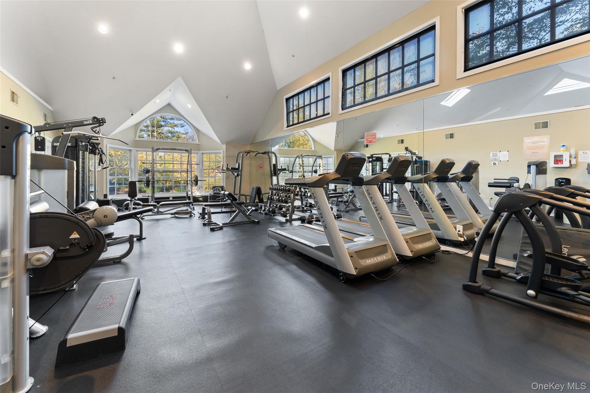 227 Boulder Ridge Road Scarsdale, NY 10583 - Photo 32 of 37 Gym