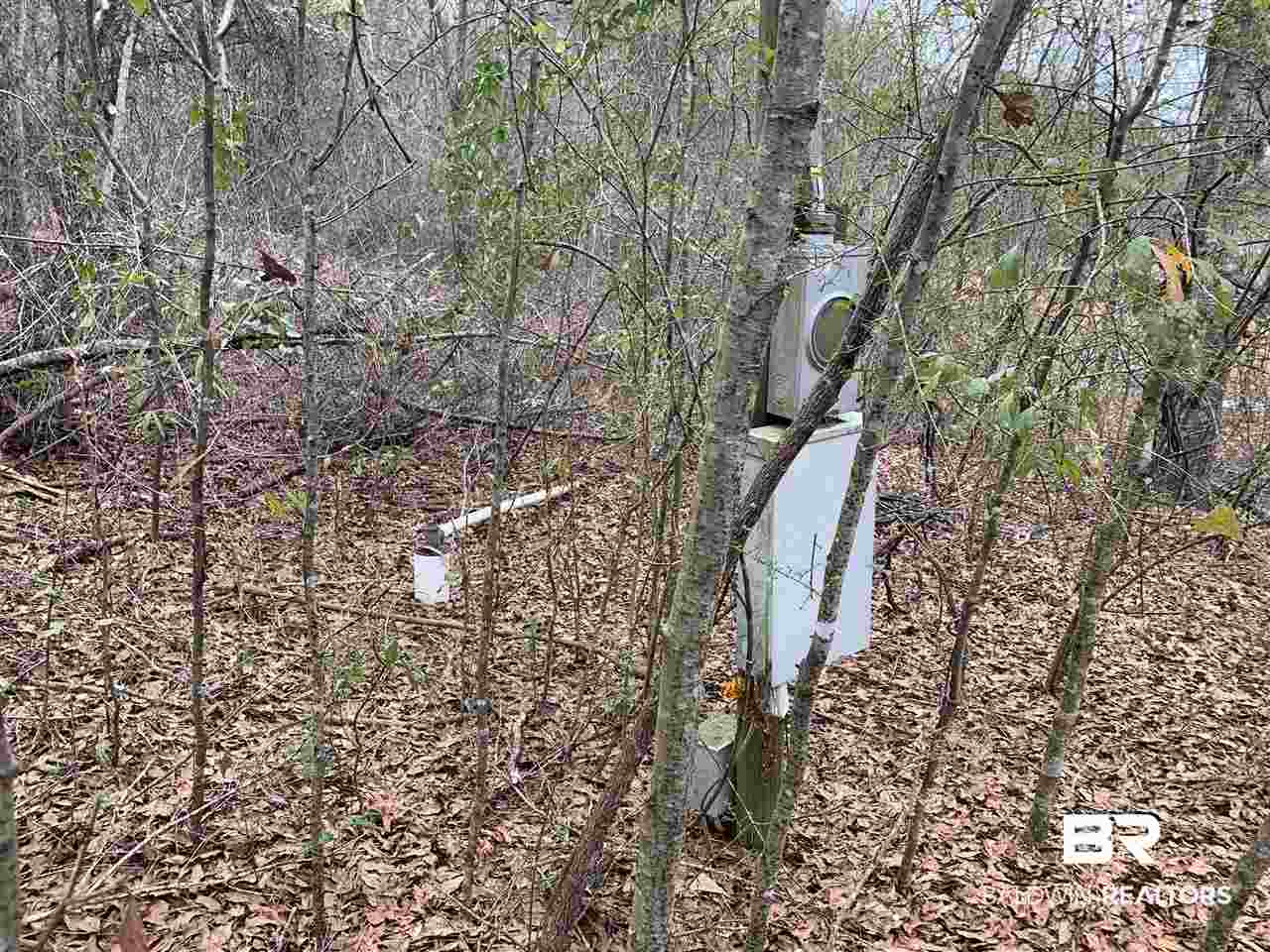 0 Sexton Brg Road Luverne, AL 36049 - Photo 47 of 50
