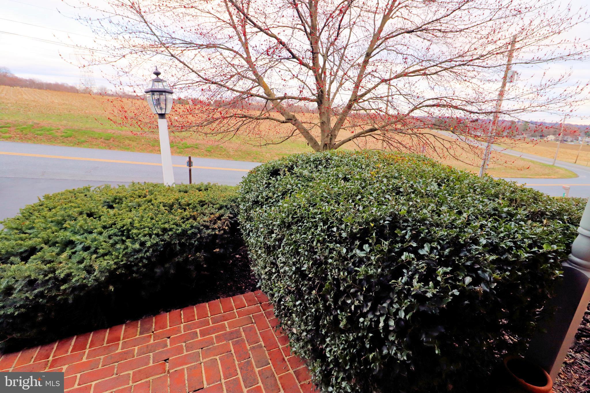 402 Snyder Hill Road Lititz, PA 17543 - Photo 31 of 35 a view of a pathway with a tree