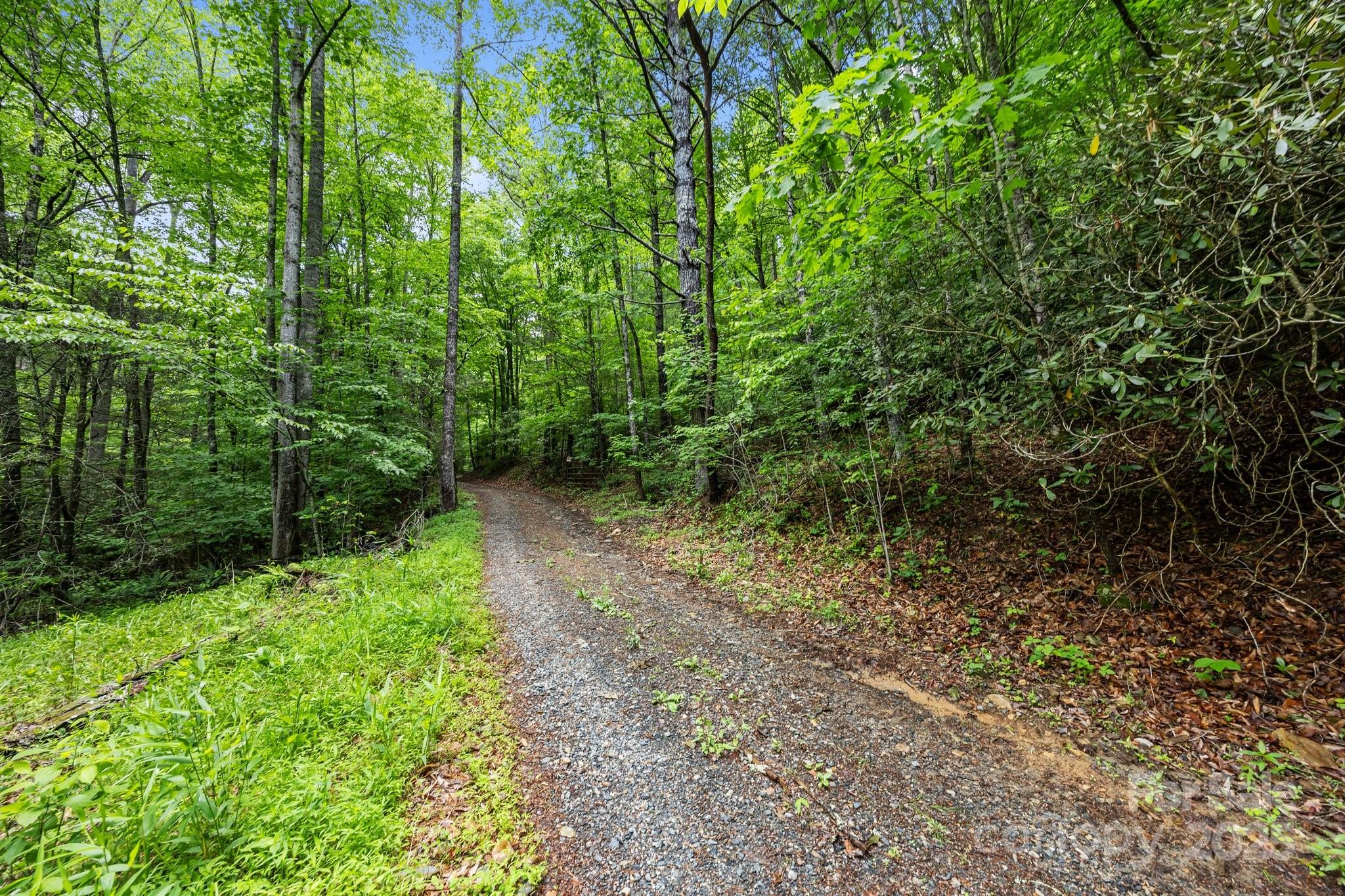 9999 Burnette Reeves Road Leicester, NC 28748 - Photo 1 of 16 a big yard with lots of green space and deers