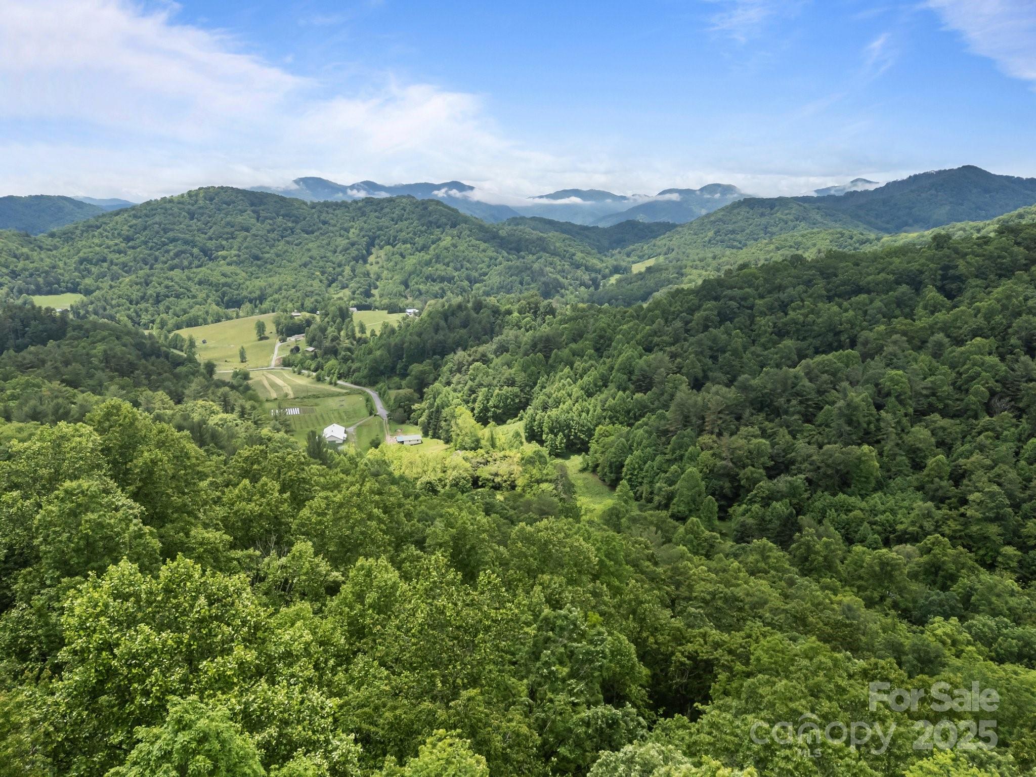 9999 Burnette Reeves Road Leicester, NC 28748 - Photo 13 of 16 a view of a mountain range with lush green forest