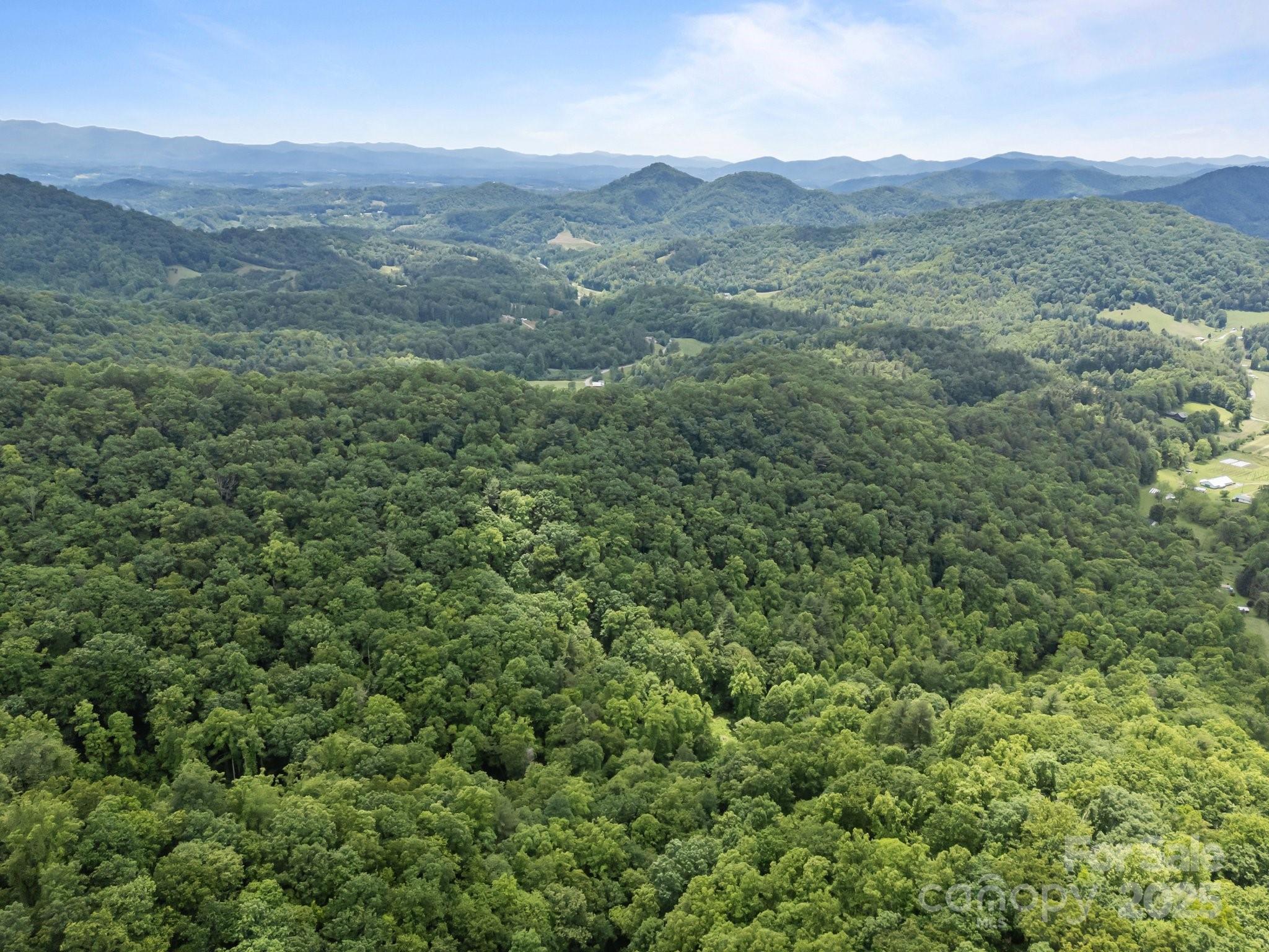 9999 Burnette Reeves Road Leicester, NC 28748 - Photo 14 of 16 a view of a lush green hillside and a houses