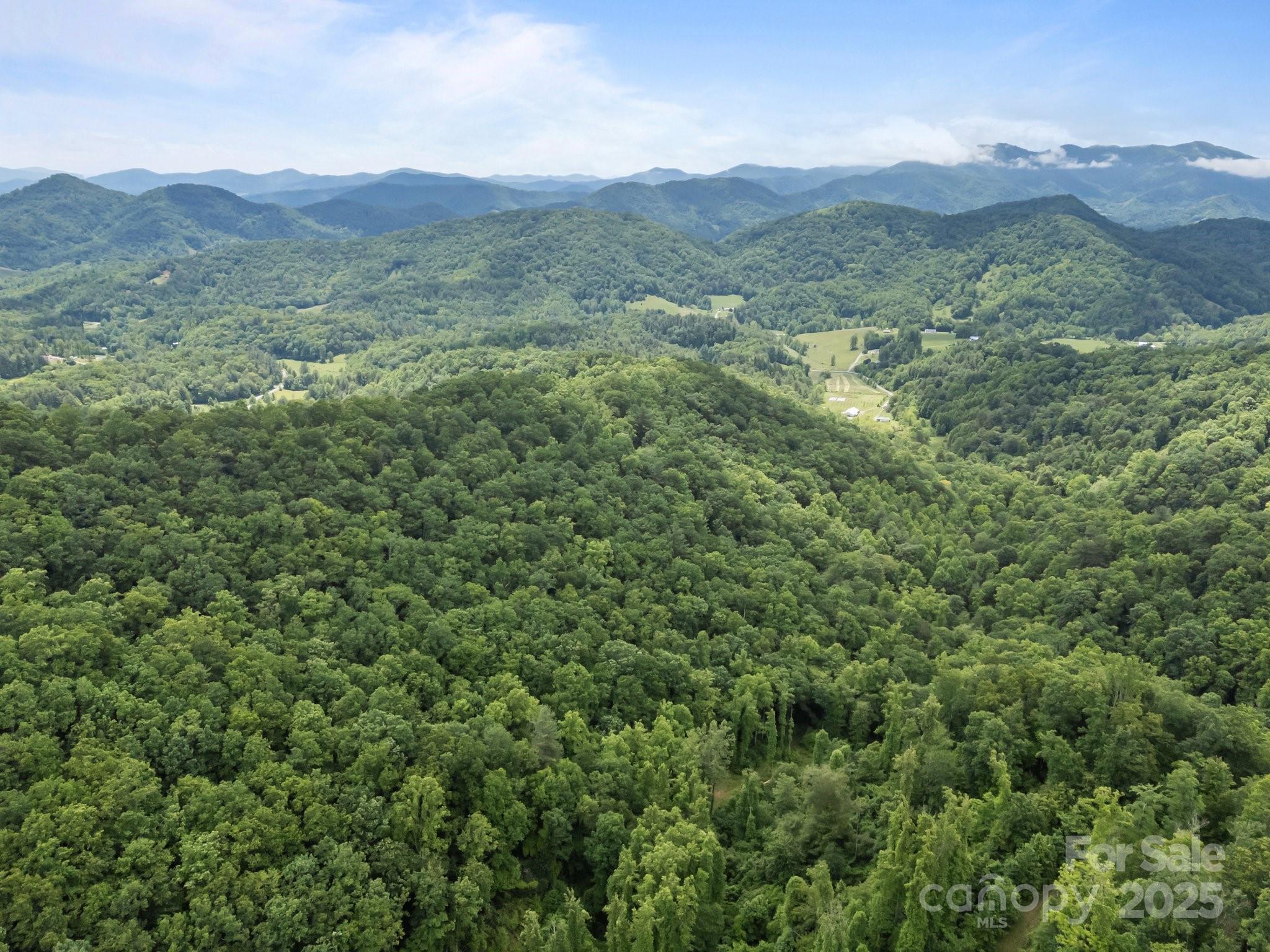 9999 Burnette Reeves Road Leicester, NC 28748 - Photo 15 of 16 a view of a lush green forest with lush green forest
