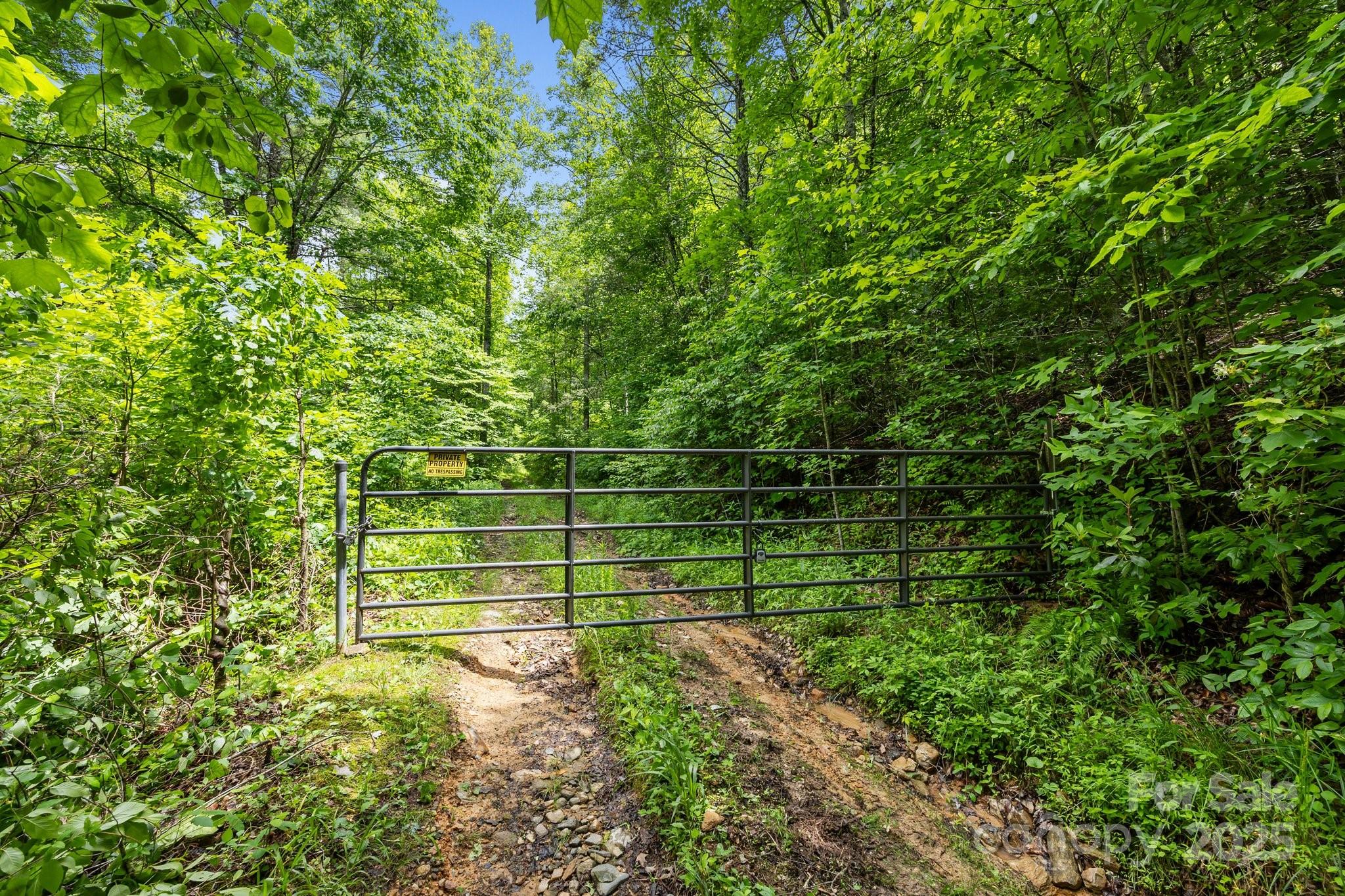 9999 Burnette Reeves Road Leicester, NC 28748 - Photo 3 of 16 a view of a yard with a tree