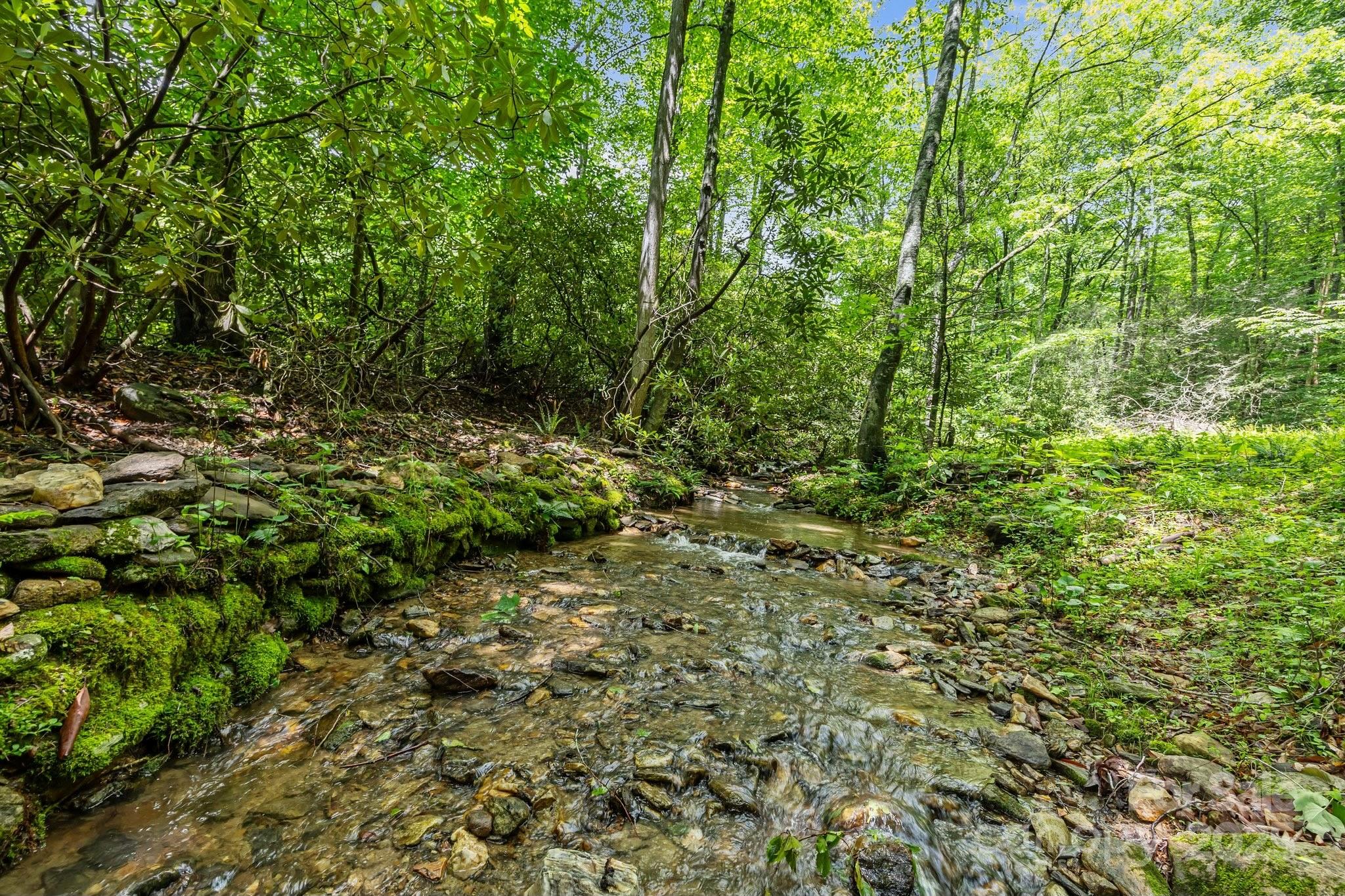 9999 Burnette Reeves Road Leicester, NC 28748 - Photo 6 of 16 a view of a lush green forest