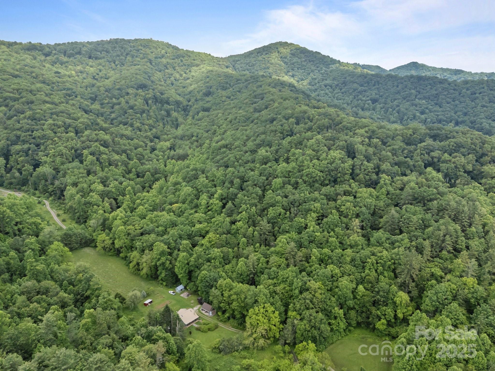 9999 Burnette Reeves Road Leicester, NC 28748 - Photo 8 of 16 a view of a mountain range with lush green forest