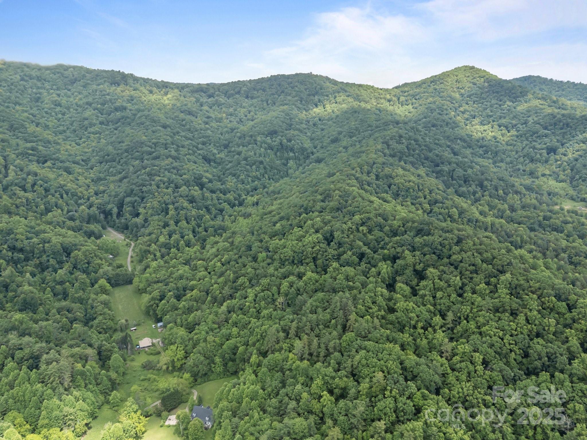 9999 Burnette Reeves Road Leicester, NC 28748 - Photo 9 of 16 a view of a lush green forest with a mountain