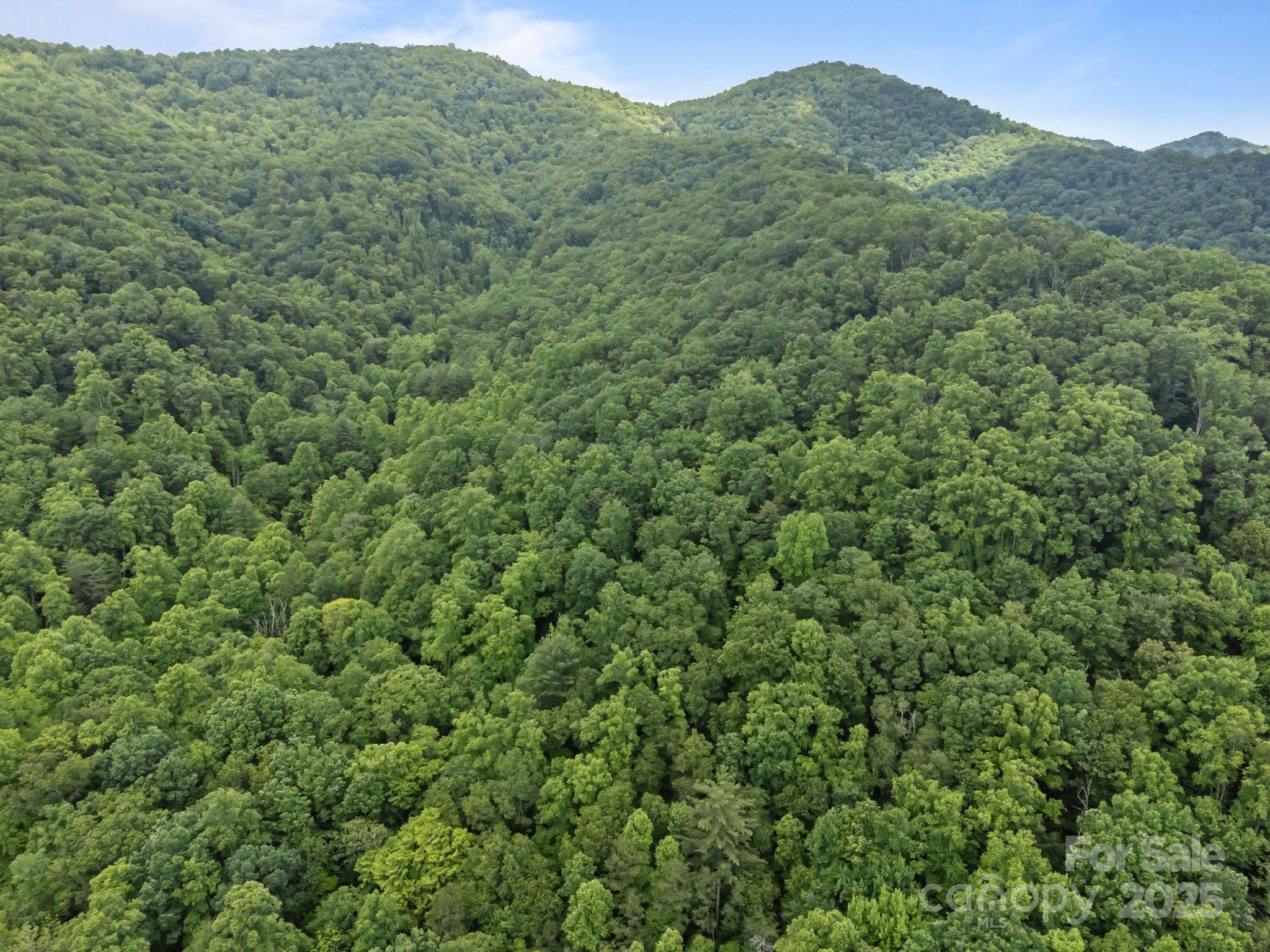 9999 Burnette Reeves Road Leicester, NC 28748 - Photo 10 of 16 a view of a mountain range with lush green forest
