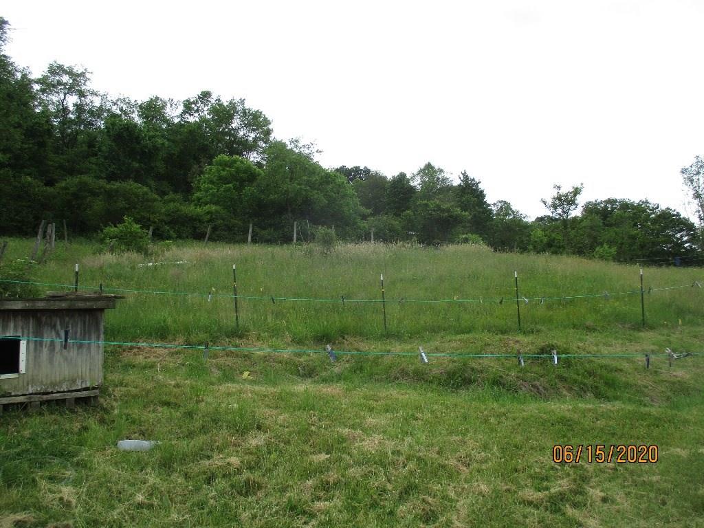264 Spade Road Rochester, PA 15074 - Photo 6 of 22