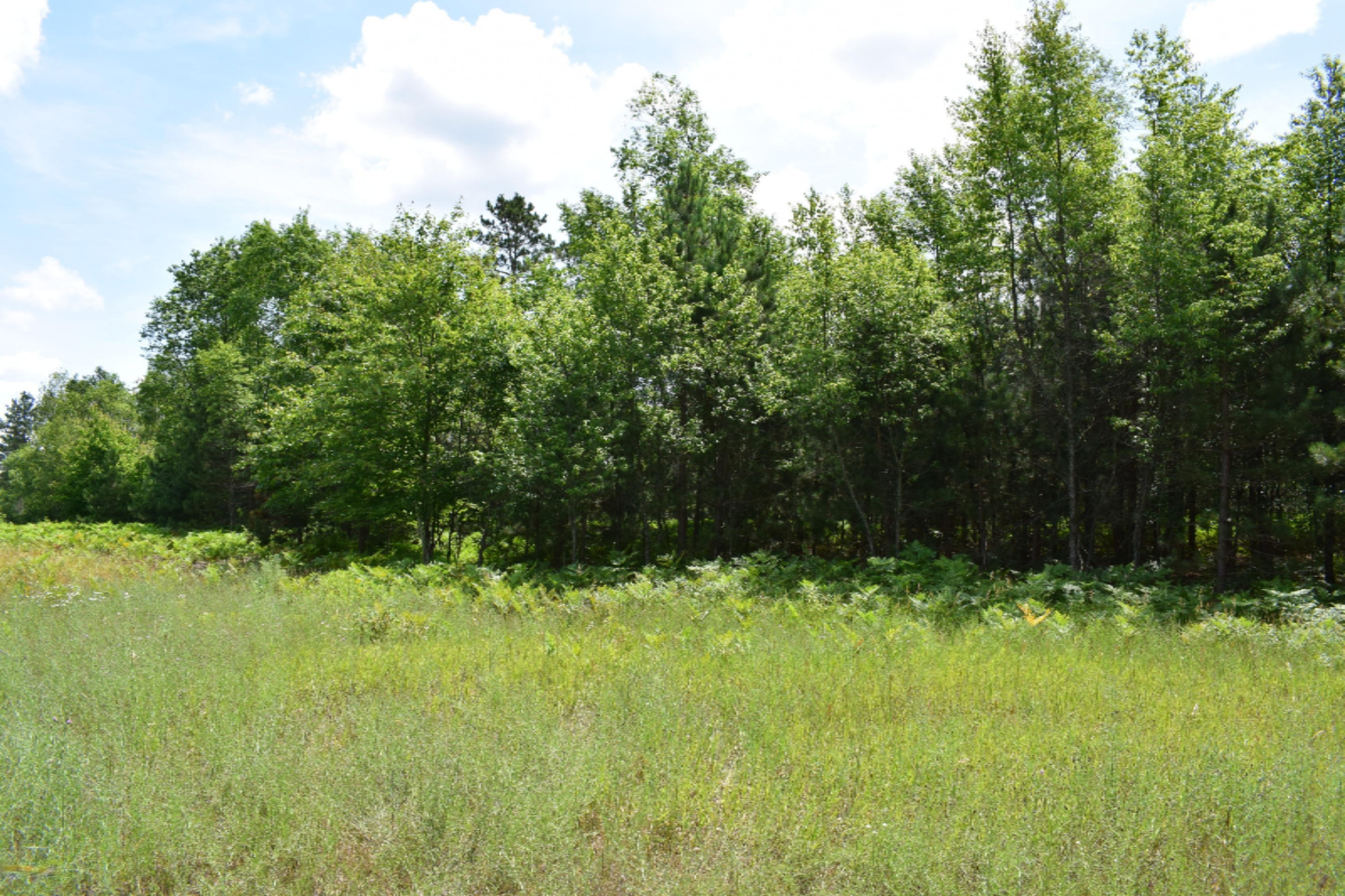 12255 9 Mile Road Kaleva, MI 49645 - Photo 5 of 7 DSC_0326