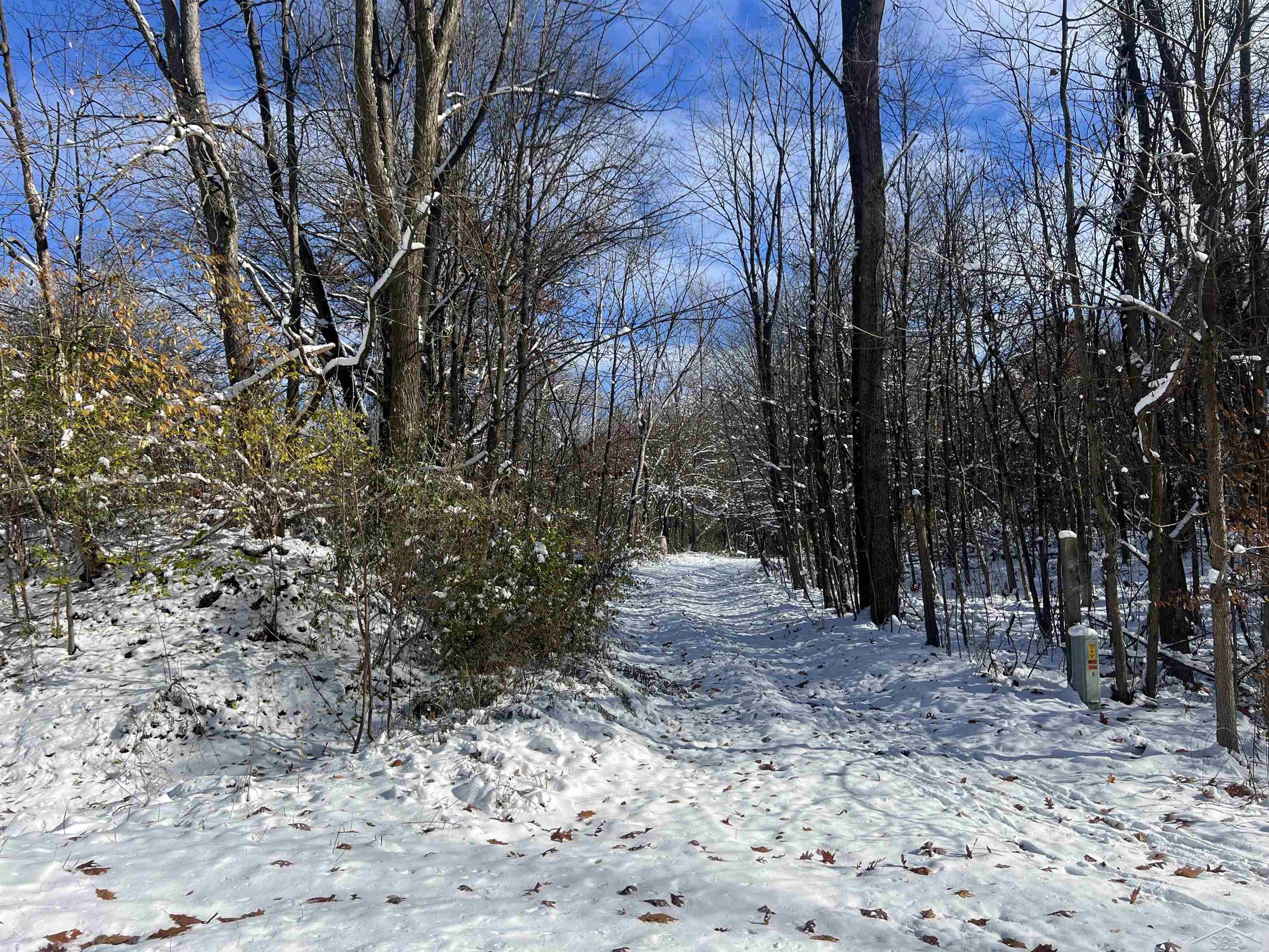 14389 E Road Montrose, MI 48457 - Photo 2 of 9 50193955-a8869d5f-9c4a-4e10-9c37-8aaf50c56cb3.JPG