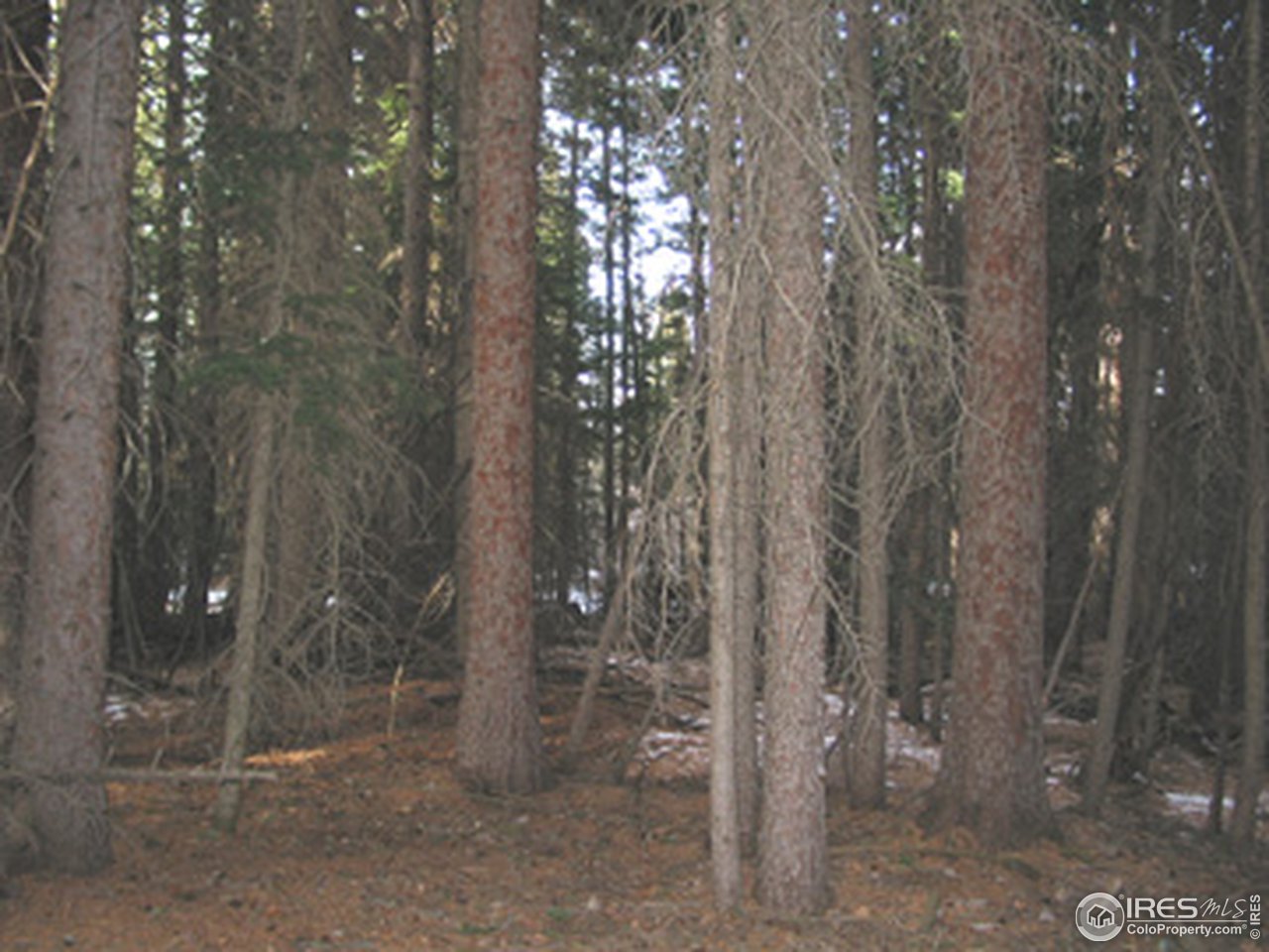 0 Spring Gulch Road Ward, CO 80481 - Photo 1 of 1 a view of a outdoor space