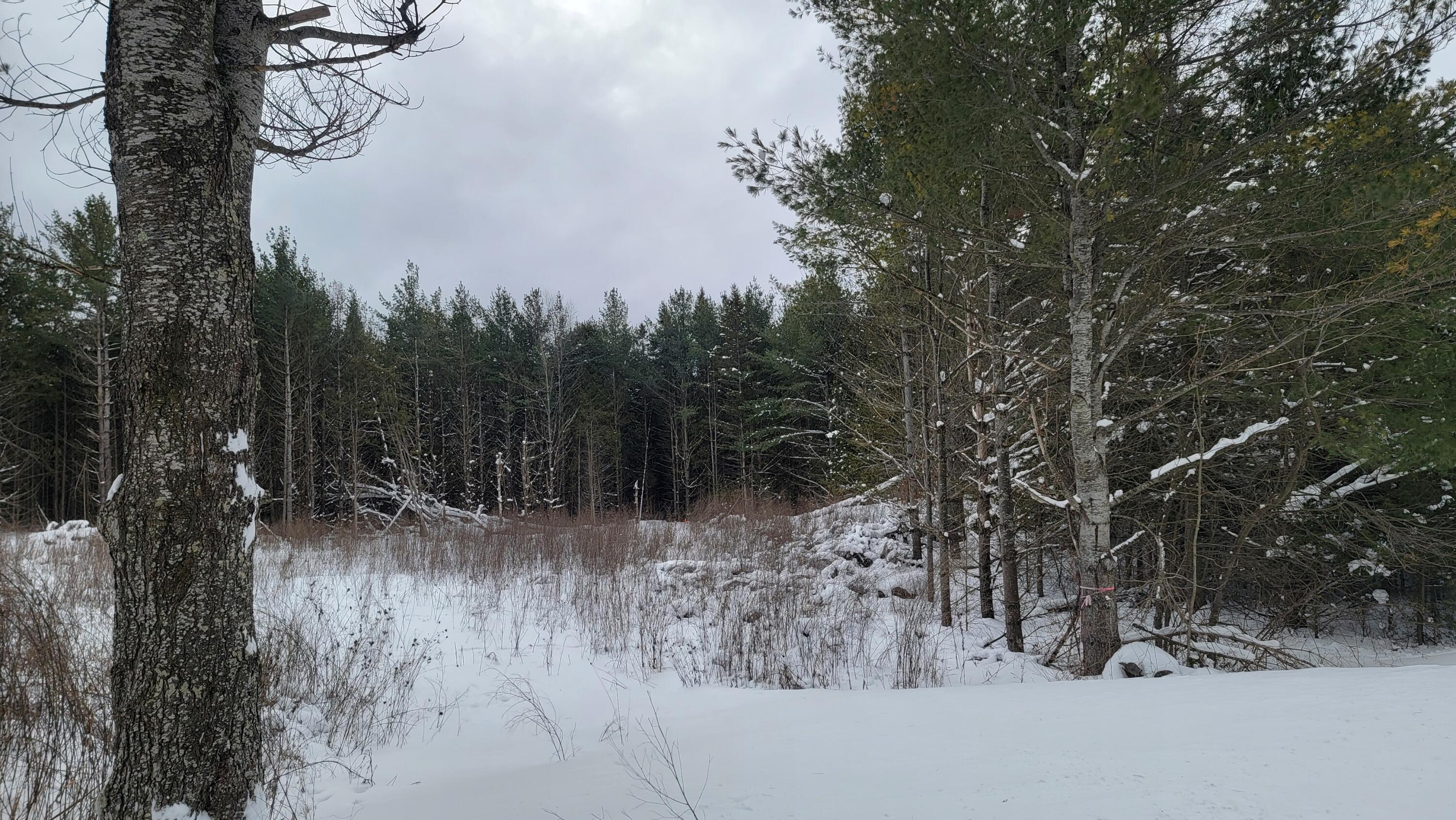 Dukes Road Moran, MI 49760 - Photo 16 of 20 Gallery Image 16