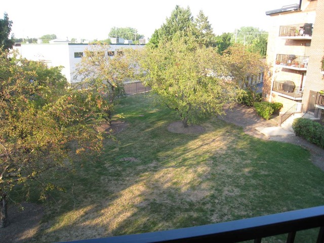 1107 South Old Wilke Road, Unit 310 Rolling Meadows, IL 60005 - Photo 17 of 29