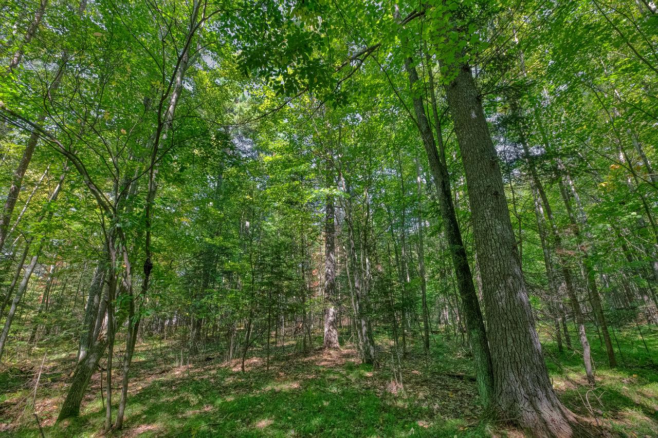 On Hall Road, Unit A & B Woodruff, WI 54568 - Photo 8 of 18 Gallery Image 8