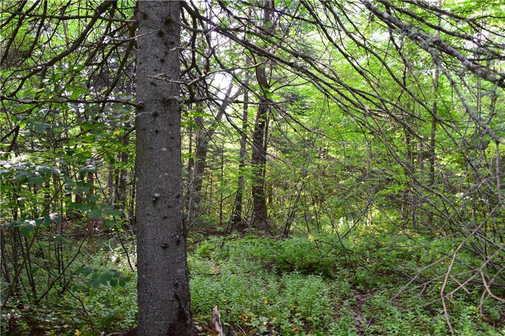 4-21 Shin Pond Road Mount Chase, ME 04765 - Photo 2 of 7 Photo