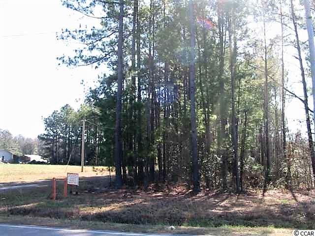 Lot 1 Dunn Short Cut Road Conway, SC 29527 - Photo 9 of 10 Gallery Image 9