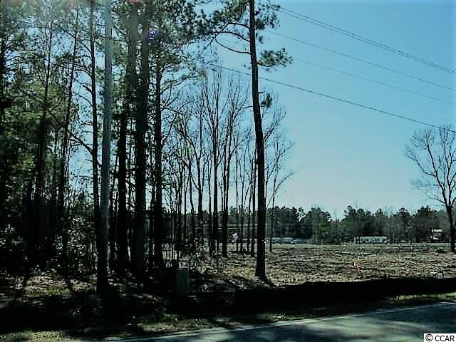 Lot 1 Dunn Short Cut Road Conway, SC 29527 - Photo 10 of 10 Gallery Image 10