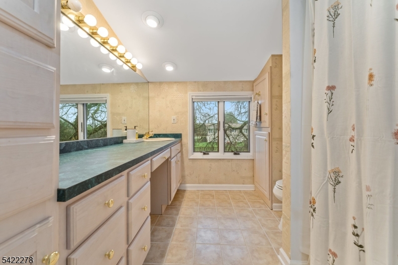 2 Mountain View Road Whitehouse Station, NJ 08889 - Photo 26 of 39