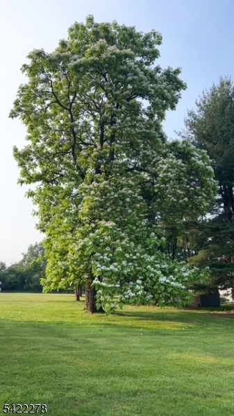 2 Mountain View Road Whitehouse Station, NJ 08889 - Photo 38 of 39