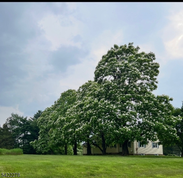 2 Mountain View Road Whitehouse Station, NJ 08889 - Photo 39 of 39