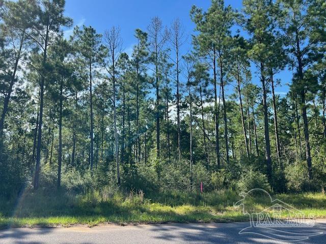 Br Lot 36 Buffalo Ridge Road Pace, FL 32571 - Photo 12 of 19