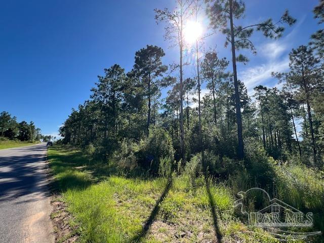 Br Lot 36 Buffalo Ridge Road Pace, FL 32571 - Photo 15 of 19
