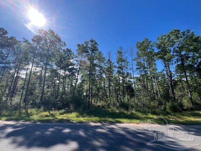 Br Lot 36 Buffalo Ridge Road Pace, FL 32571 - Photo 8 of 19