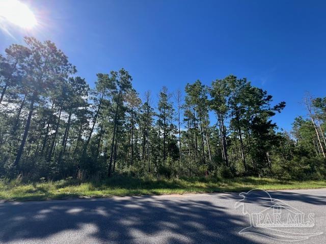 Br Lot 36 Buffalo Ridge Road Pace, FL 32571 - Photo 10 of 19