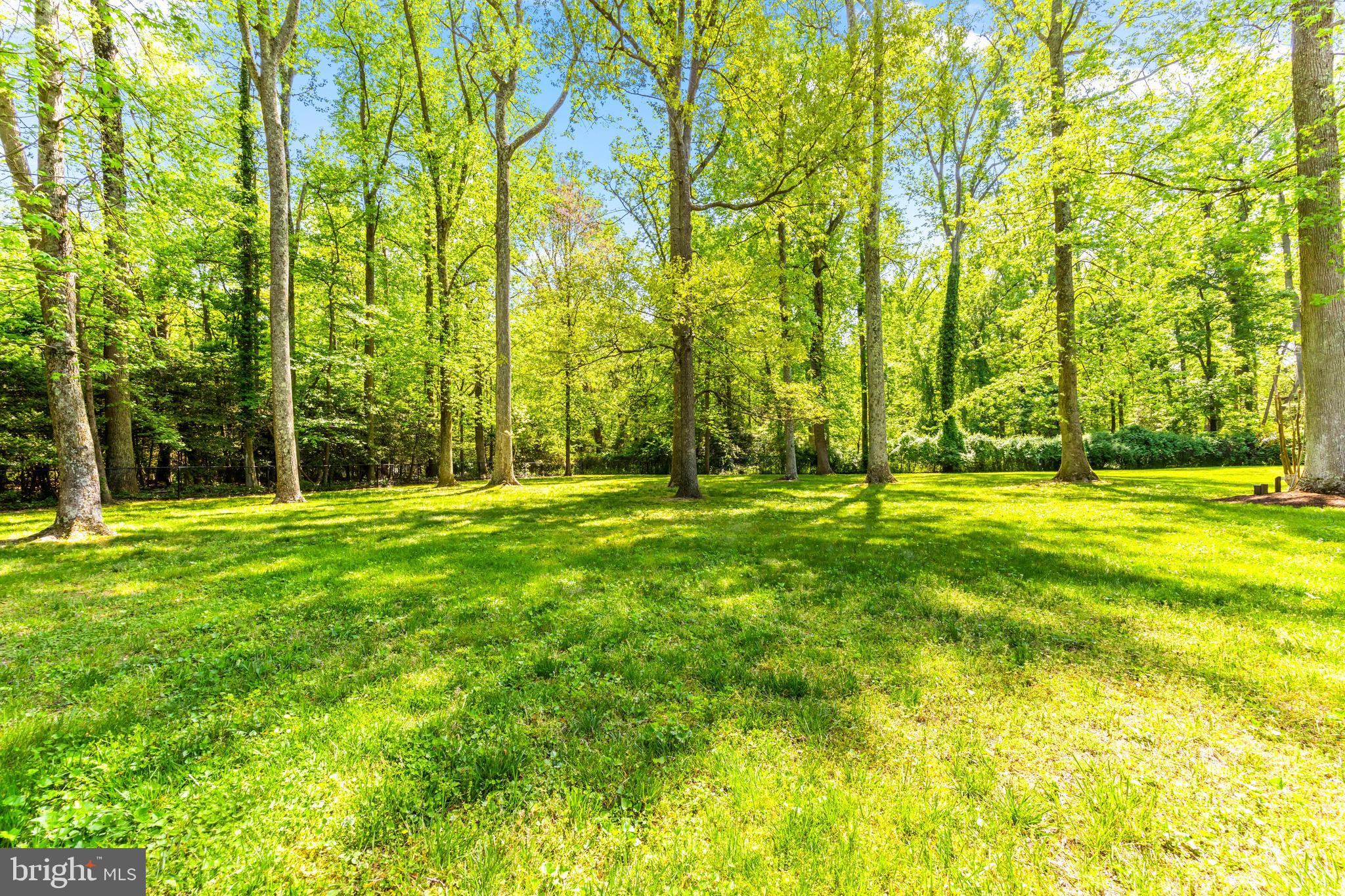 1552 Shipsview Road Annapolis, MD 21409 - Photo 85 of 129 Serene park setting creating a secluded retreat