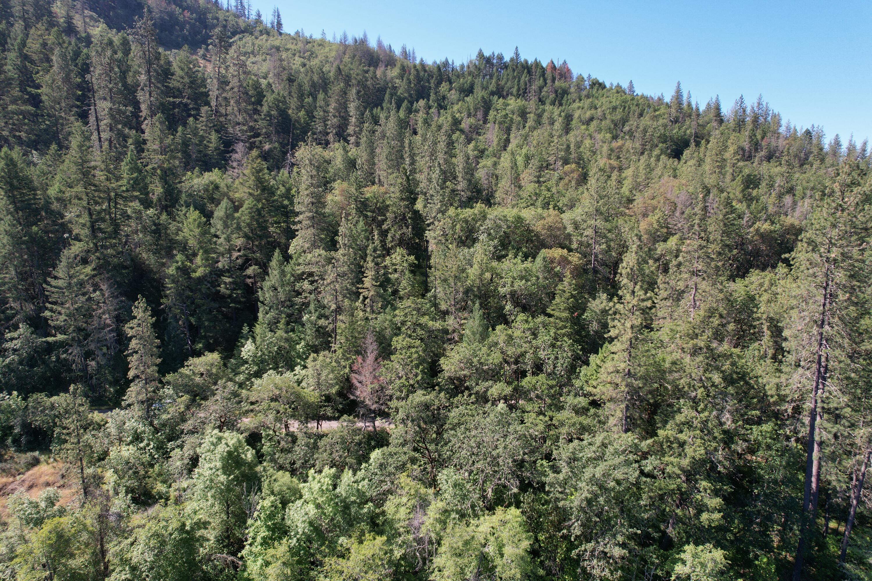 Old Ferry Road Shady Cove, OR 97539 - Photo 17 of 33 OLD FERRY (7)