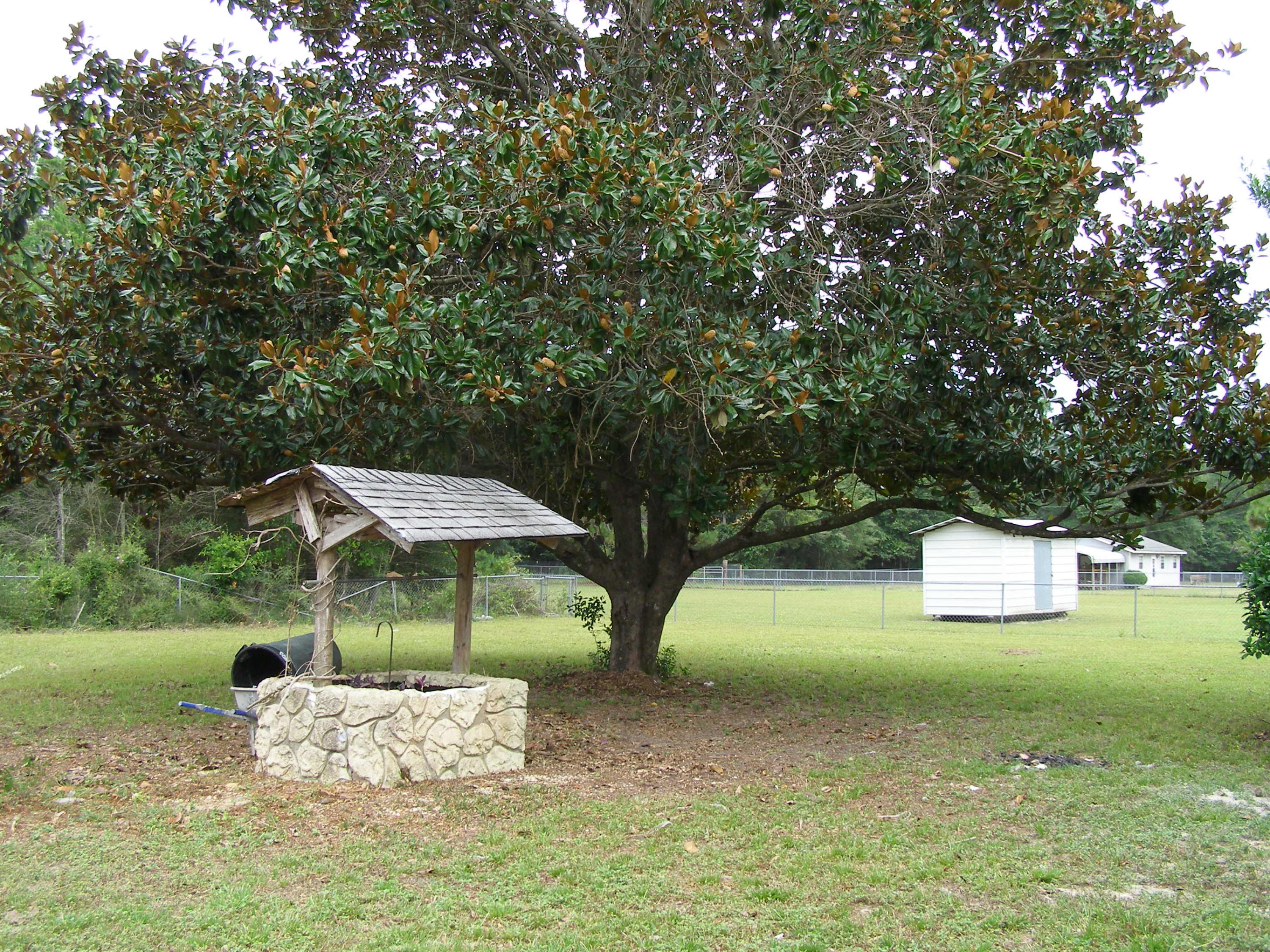 3356 Auburn Road Crestview, FL 32539 - Photo 28 of 34 a view of a two chairs in the patio next to a yard