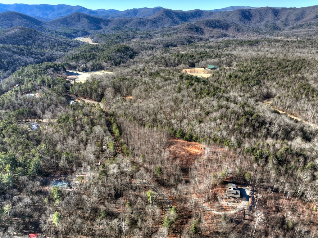 136 B Pack Creek Road Blue Ridge, GA 30513 - Photo 27 of 87